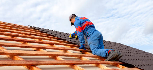 Best Roof Maintenance and Cleaning  in Whiteville, TN